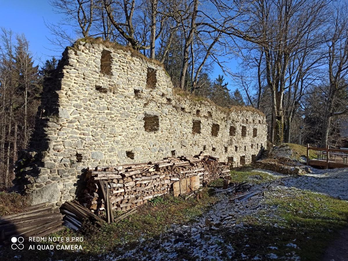 Apartmán u Vrbů Černá v Pošumaví Exterior foto